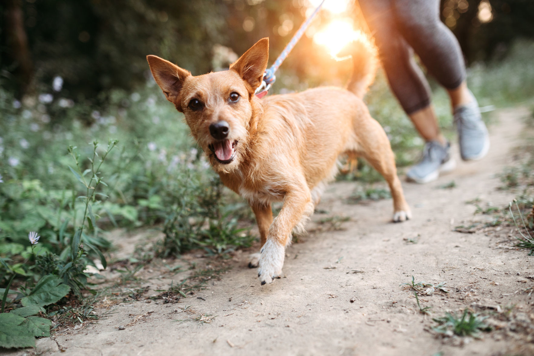 Exercise and behavior